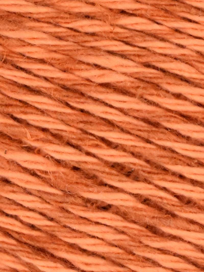Jody Long Lino Moda - Persimmon (Color #010) - TEN SKEINS