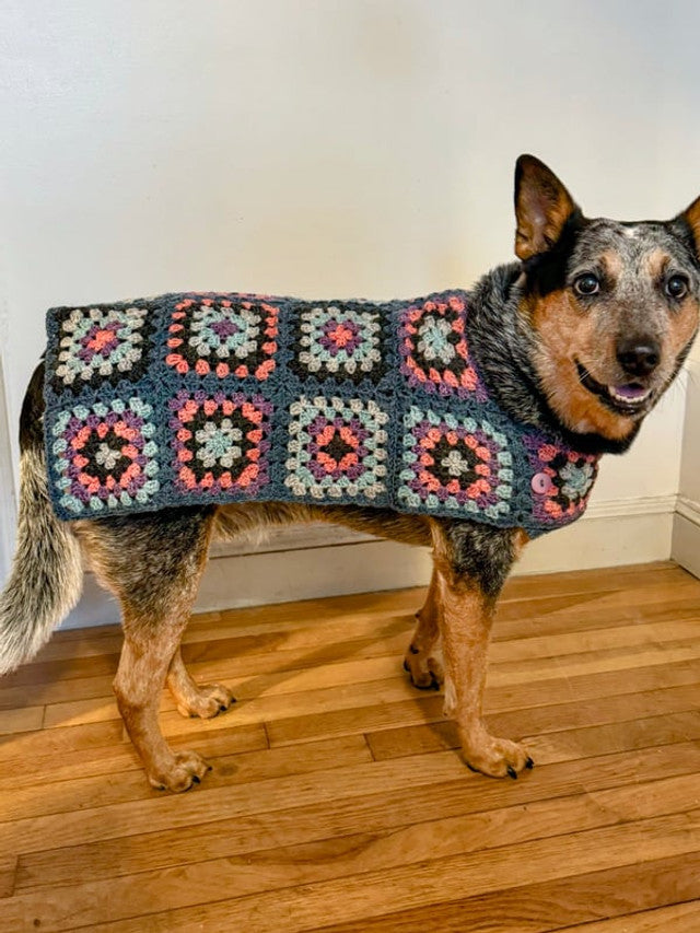 A FREE Berroco Pattern - Odie (PDF)