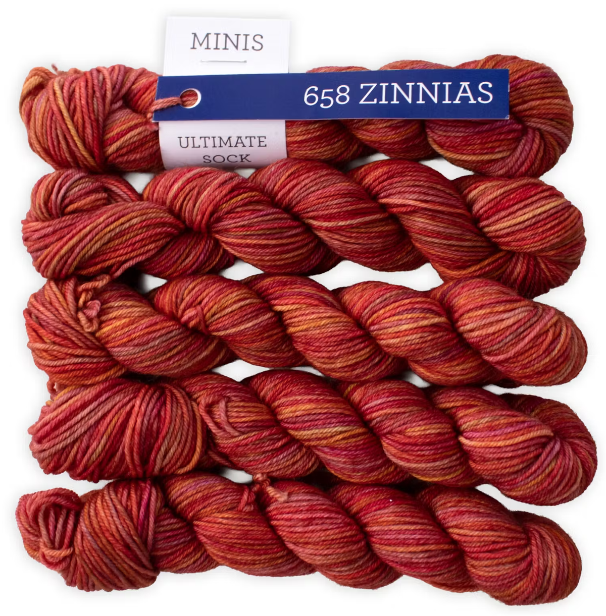 Malabrigo Ultimate Sock Minis - Zinnias
