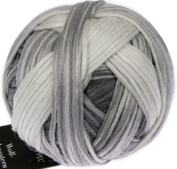 Woll-Schwestern (Wool-Sisters) By Schoppel - Edda (Color #2664) - TEN SKEINS