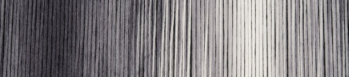 Woll-Schwestern (Wool-Sisters) By Schoppel - Edda (Color #2664)
